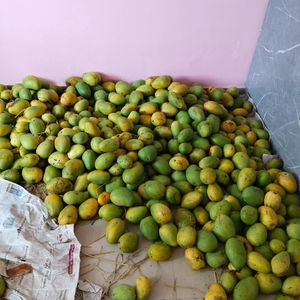 ഫോട്ടോ 2
