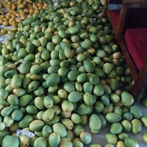ഫോട്ടോ 3