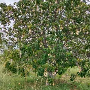 ഫോട്ടോ 4