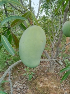 ഫോട്ടോ 3