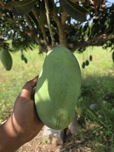 ಫೋಟೋ 2