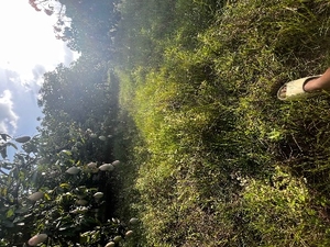 ഫോട്ടോ 3