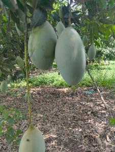 ഫോട്ടോ 2