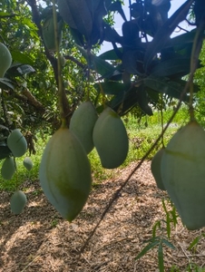 ഫോട്ടോ 3