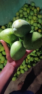 फोटो 2