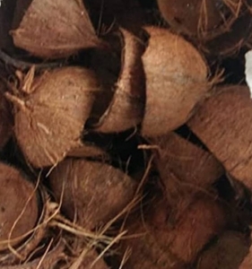 ತೆಂಗಿನಕಾಯಿ ಚಿಪ್ಪು