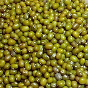 Moong