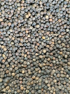 ఫోటో 3