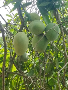 ಫೋಟೋ 3