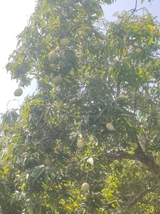 ಫೋಟೋ 5