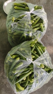 ഭിണ്ടി