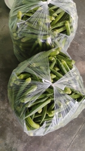 ఫోటో 2