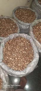 അരെക്കനട്ട്