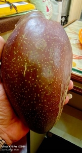 ഫോട്ടോ 2