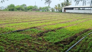 ഫോട്ടോ 2