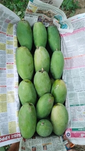 படம் 2