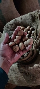 படம் 2
