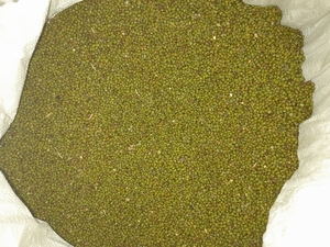 Moong