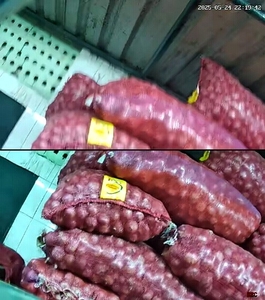 ಟೊಮೆಟೊ ಆಲೂಗಡ್ಡೆ ಈರುಳ್ಳಿ