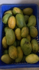 ಮಾವಿನಹಣ್ಣುಗಳು