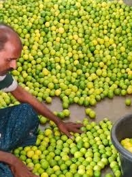 നാരങ്ങ 