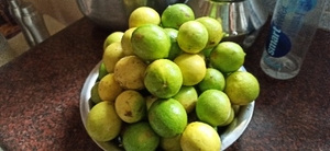 ఫోటో 3