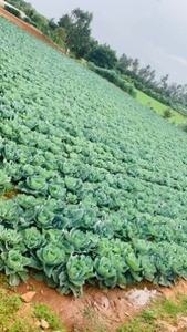 ఫోటో 4