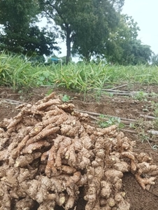 ఫోటో 2