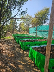 वर्मीकम्पोस्ट