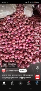 प्याज