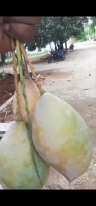 ఫోటో 2