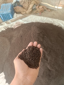 മണ്ണിര കമ്പോസ്റ്റ്