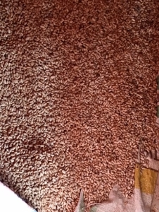 ഫോട്ടോ 2