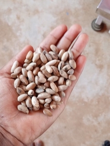 ഫോട്ടോ 3