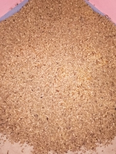 ഫോട്ടോ 4