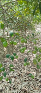படம் 2