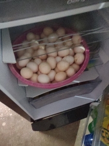 ദേശി മുട്ട
