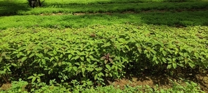 ഫോട്ടോ 2