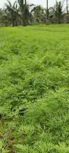 ഫോട്ടോ 4