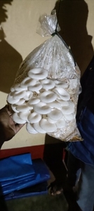 ಫೋಟೋ 3