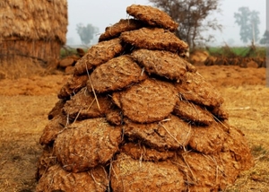 ഫോട്ടോ 3