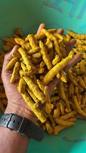 పసుపు