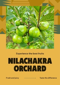 జామకాయ