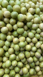 ഫോട്ടോ 3