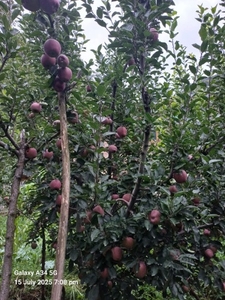 ഫോട്ടോ 4