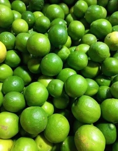 ನಿಂಬೆಹಣ್ಣು
