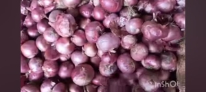 ഉള്ളി