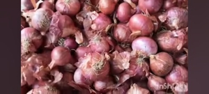 ఫోటో 3