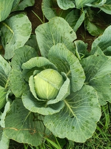 ഫോട്ടോ 3