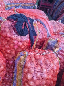 ఉల్లిపాయ